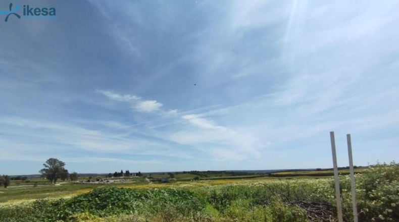 Huelva - Alosno - 1264m2