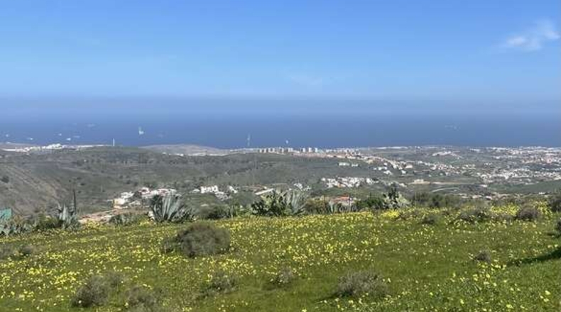 Las Palmas - Telde - 2041m2