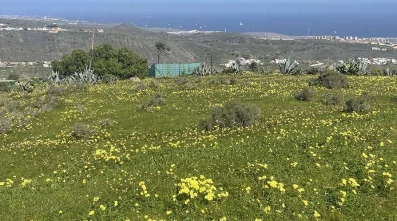 Las Palmas - Telde - 2041m2