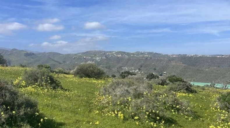 Las Palmas - Telde - 2041m2