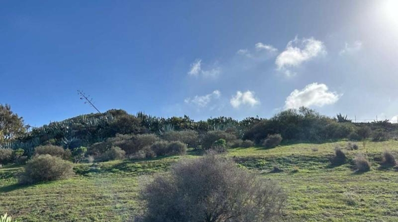 Las Palmas - Telde - 2041m2
