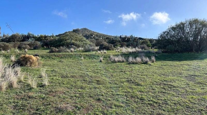 Las Palmas - Telde - 2041m2