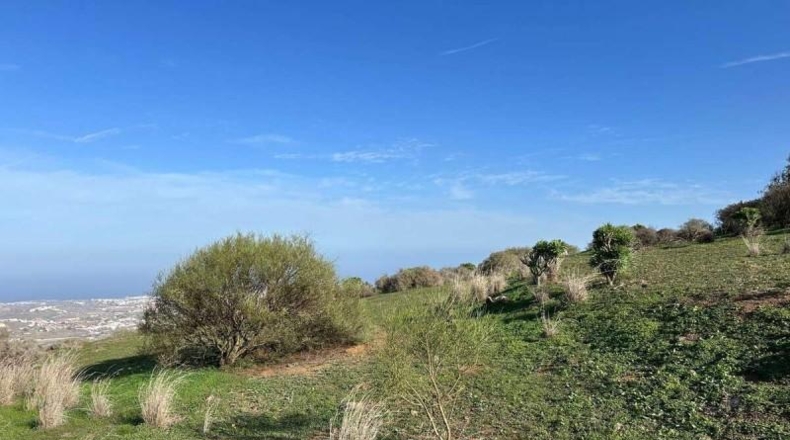 Las Palmas - Telde - 2041m2