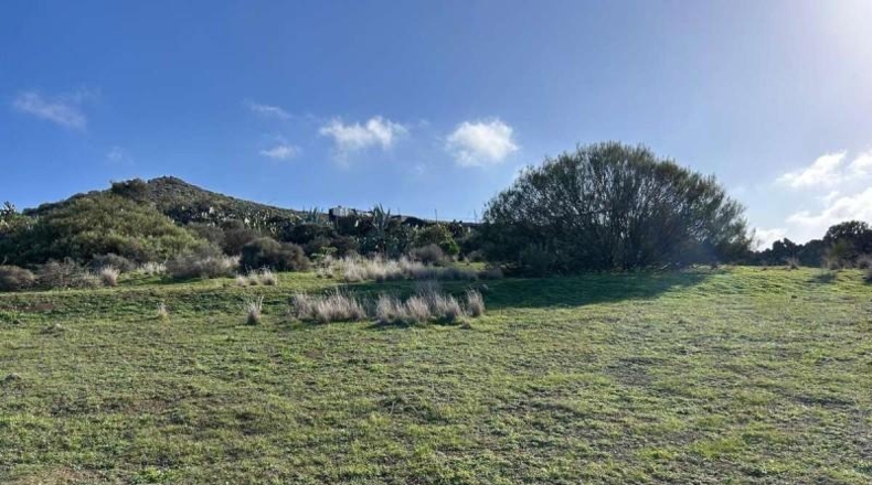 Las Palmas - Telde - 2041m2
