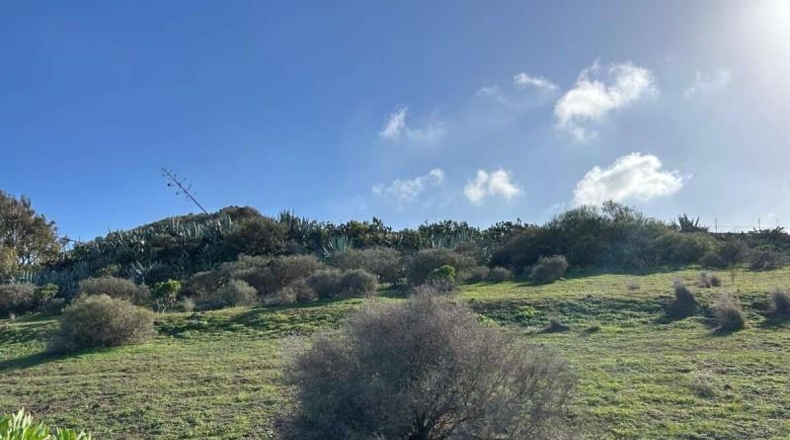 Las Palmas - Telde - 2041m2