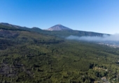 Non-developable land for sale on España, La Orotava, ref: TR352324 photo
