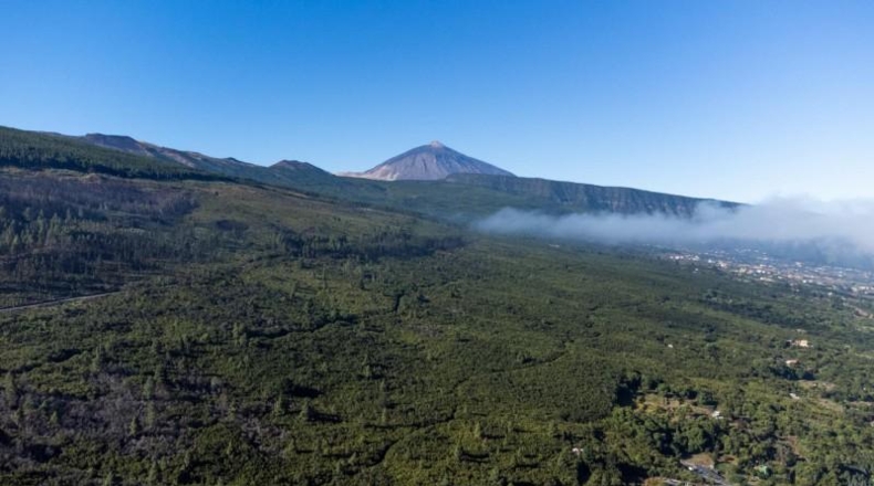 Santa Cruz de Tenerife - La Orotava - 1900m2