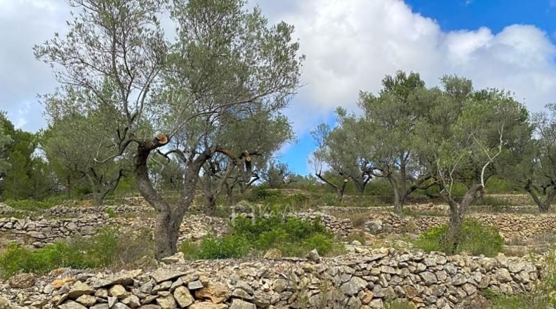 Tarragona - el Perelló - 9624m2