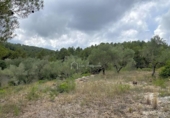 Terreno no urbanizable en venta en la España, el Perelló, ref: TR123089 foto