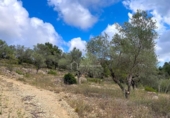 Terreno no urbanizable en venta en la España, el Perelló, ref: TR123089 foto