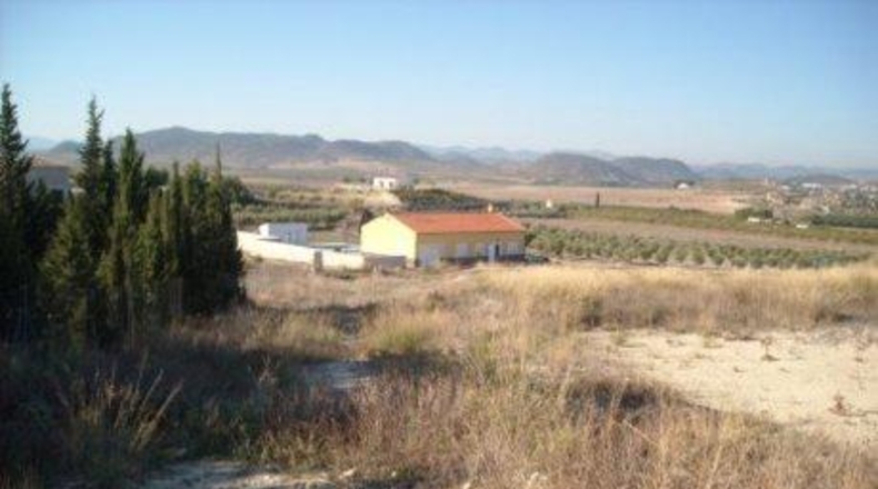 Múrcia - Calasparra - 5300m2