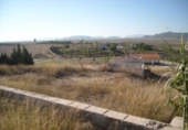 Terreny no urbanitzable en venda a la España, Calasparra, ref.: TR119452 foto