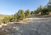 Terreno no urbanizable en venta en la España, Alfacar, ref: TR121781 foto