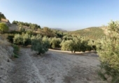 Terreno no urbanizable en venta en la España, Alfacar, ref: TR121781 foto