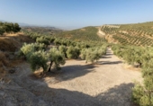 Terreno no urbanizable en venta en la España, Alfacar, ref: TR121781 foto