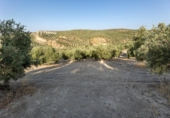 Terreno no urbanizable en venta en la España, Alfacar, ref: TR121781 foto