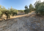 Terreno no urbanizable en venta en la España, Alfacar, ref: TR121781 foto
