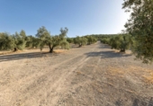 Terreno no urbanizable en venta en la España, Alfacar, ref: TR121781 foto