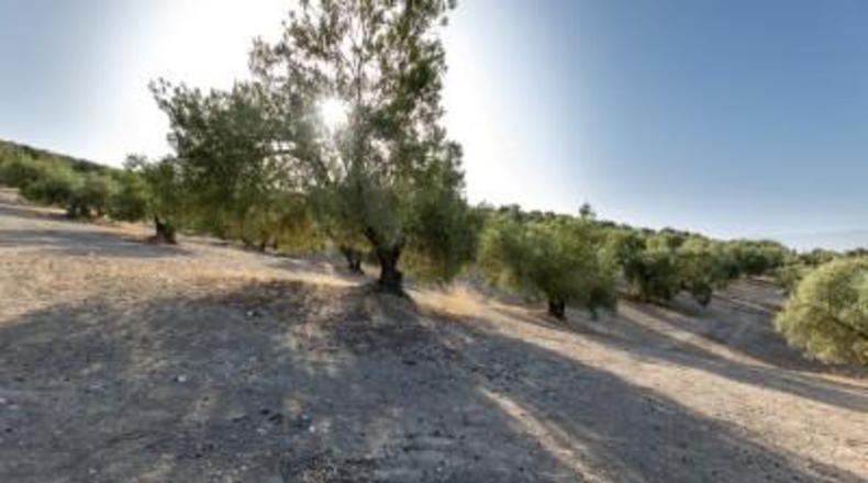 Granada - Alfacar - 10580m2