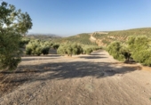 Terreno no urbanizable en venta en la España, Alfacar, ref: TR121781 foto