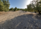 Terreno no urbanizable en venta en la España, Alfacar, ref: TR121781 foto
