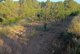 Cehegín 18511&nbsp;m²