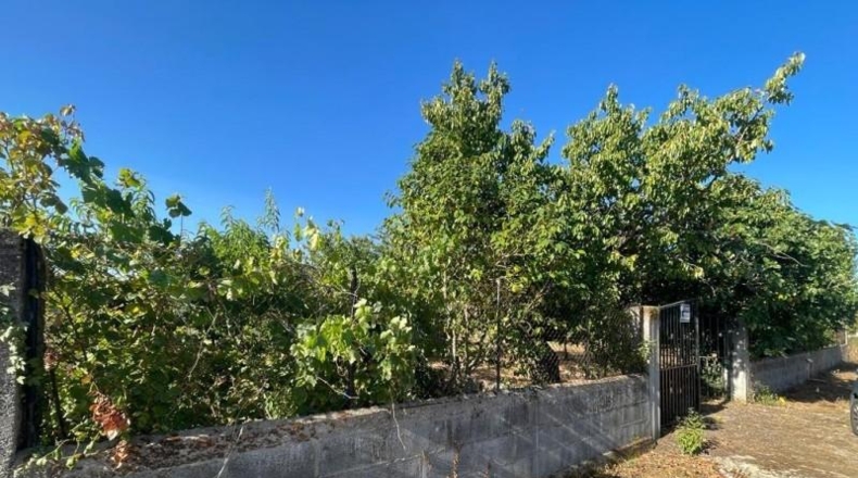 Leon - Camponaraya - 3000m2