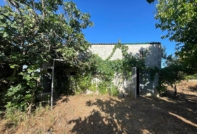 Foto 12