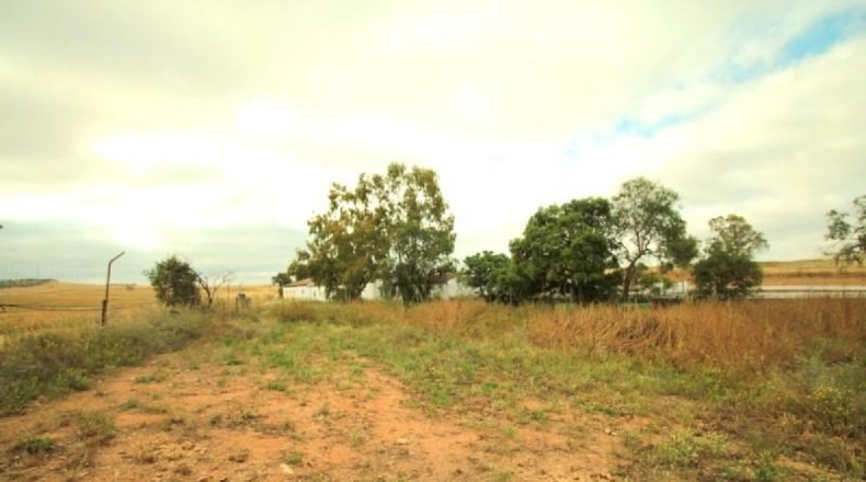 Badajoz - Badajoz - 1000m2