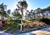 Suelo urbano en venta en la España, Canyelles, ref: TR124420 foto
