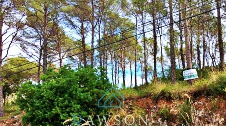 Barcelona - Canyelles - 568m2