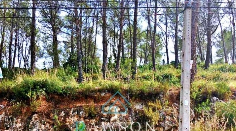 Barcelona - Canyelles - 568m2