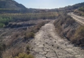 Non-developable land for sale on España, Archena, ref: TR269182 photo