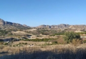 Non-developable land for sale on España, Archena, ref: TR269182 photo