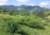 Terreno no urbanizable en venta en la España, Villaviciosa, ref: TR241754 foto