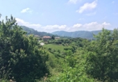 Terreno no urbanizable en venta en la España, Villaviciosa, ref: TR241754 foto