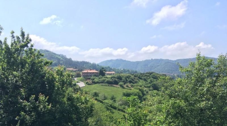 Asturias - Villaviciosa - 15000m2