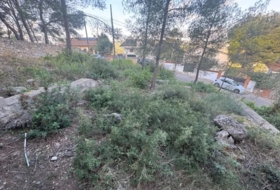 Foto 9