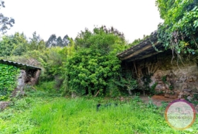 Carballo 454&nbsp;m²