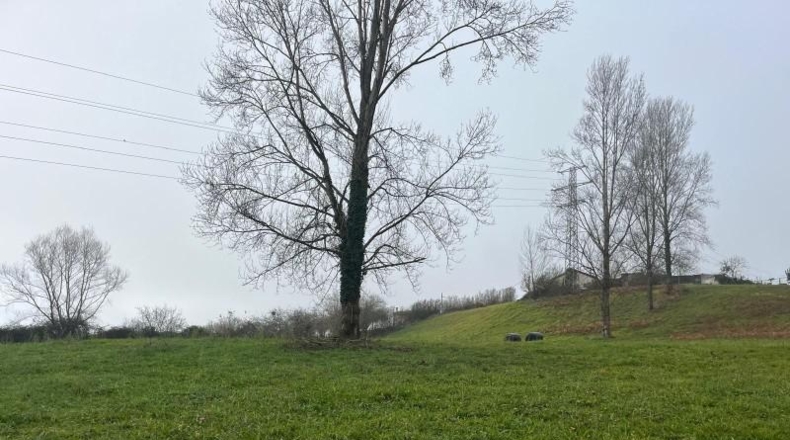 Asturias - Langreo - 555m2