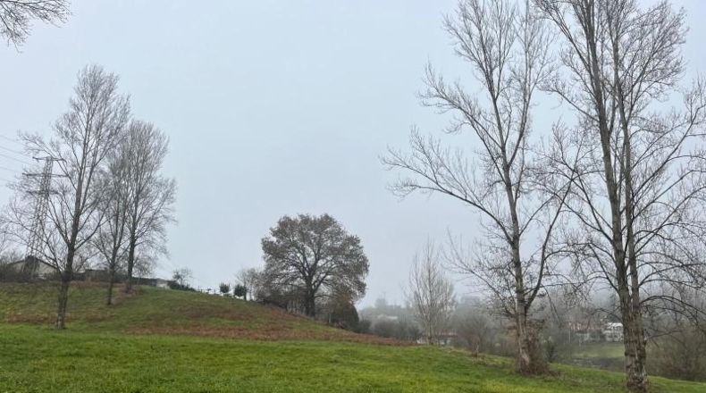 Asturias - Langreo - 555m2