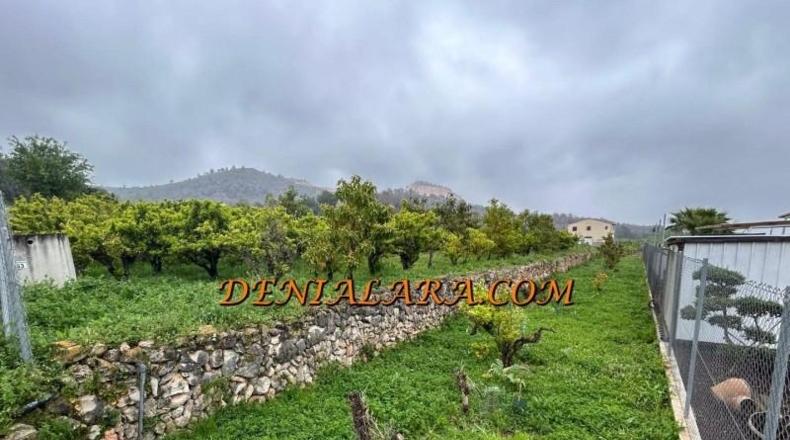 Alicante - Pego - 1000m2
