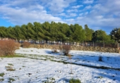 Terreno no urbanizable en venta en la España, Palazuelos de Eresma, ref: TR239689 foto