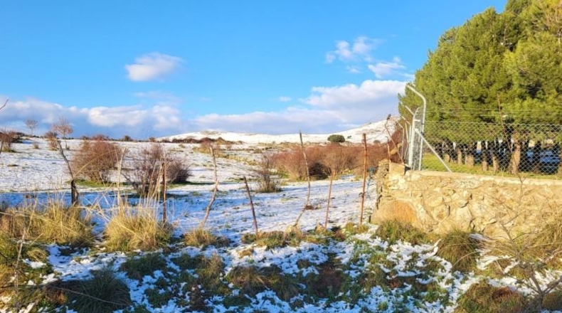 Segovia - Palazuelos de Eresma - 5615m2