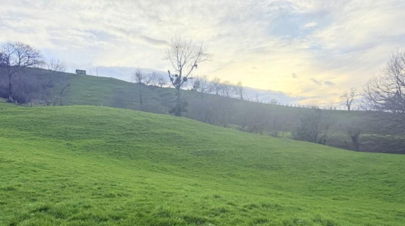 Cantabria - Santa María de Cayón - 9524m2
