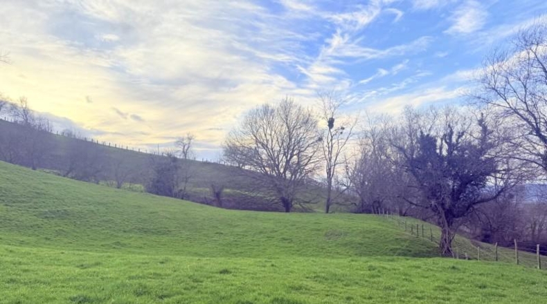 Cantabria - Santa María de Cayón - 9524m2
