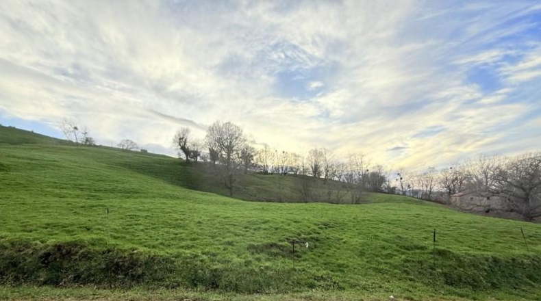 Cantabria - Santa María de Cayón - 9524m2