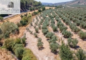 Terreno no urbanizable en venta en la España, Deifontes, ref: TR327747 foto