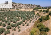 Terreno no urbanizable en venta en la España, Deifontes, ref: TR327747 foto