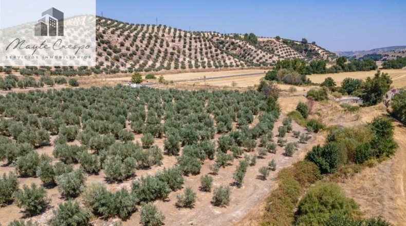 Granada - Deifontes - 5700m2